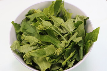 chayote or Sechium edule leaves in white bowl, green leafy vegetable