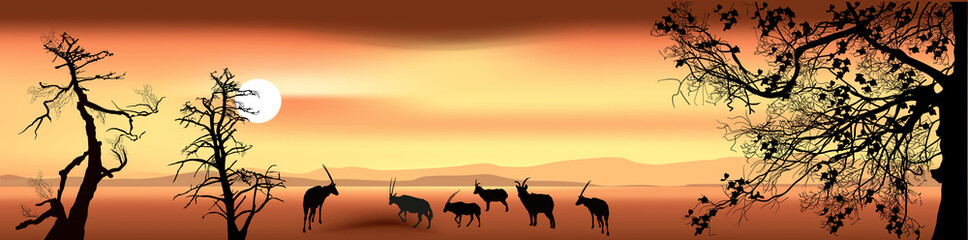 Fototapeta na wymiar walking goats at orange sunset