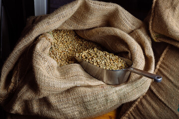 Green, unroasted coffee lies in burlap bags.