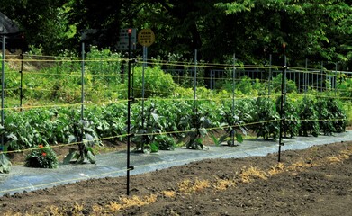 獣被害防止の電気柵