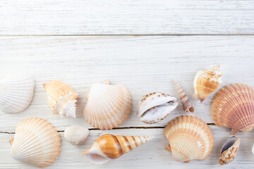 Fototapeta na wymiar A top down view of a rustic wood surface with assorted tropical seashells