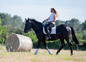 riding girl and horse