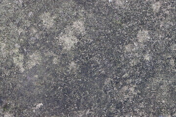 Grey cement textured surface as background