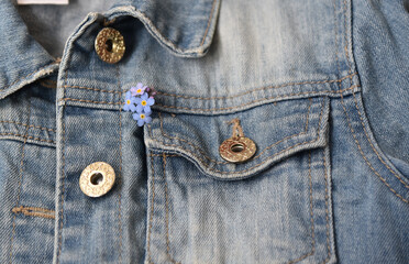 Lilac flower in the pocket of a denim jacket