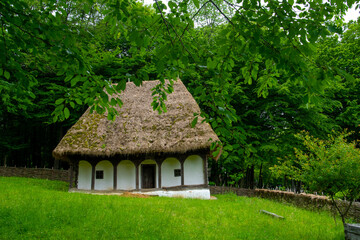 Fototapeta premium clay house with thatched roof