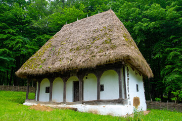 Fototapeta na wymiar clay house with thatched roof