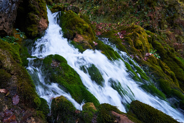 Clean mountain river in the autumn forest..Waterfall on a mountain river.