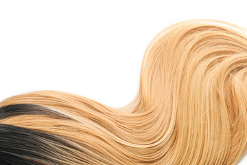 Female wig on white background