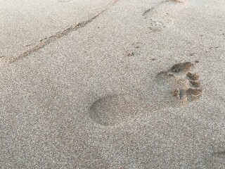 Footprints are in the Beach of an Ocean where people used to walk in early morning routines