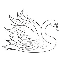 sketch of a beautiful swan with beautiful wings, coloring book, isolated object on a white background, vector illustration,