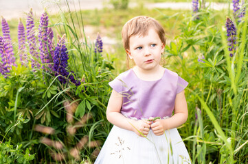 a little girl with blue eyes, blond hair, in a beautiful lilac dress, peeks out from tall green grass above her height, stands against a background of beautiful violet flowers called lupins, holds  - Powered by Adobe