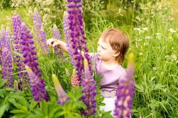 a little girl with blue eyes, blond hair, in a beautiful lilac dress, looks out of tall green grass above her height and beautiful violet flowers called lupins, examines a small brown snail, 