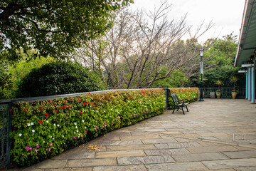 Glover Garden, Nagasaki, Japan. Colorful autumn view of courtyard with a bench and life fence. No people.