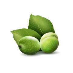 Green walnuts with leaves isolated on a white background.