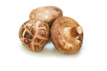Fresh mushrooms isolated on white background - Shiitake mushrooms