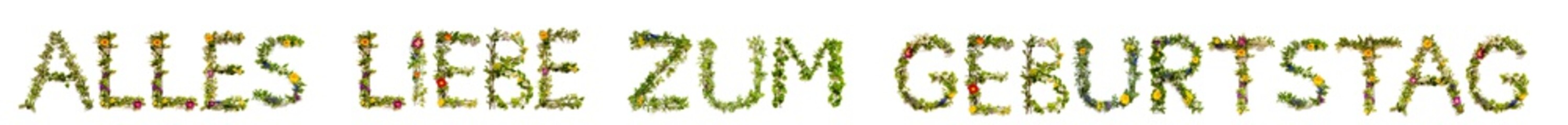 Flower, Branches And Blossom Letter Building German Word Alles Liebe Zum Geburtstag Means Happy Birthday. White Isolated Background