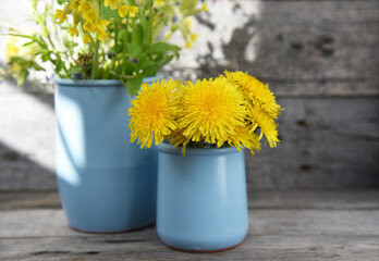 Cute and very cute flowers-yellow dandelions on the background of an old tree