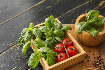 Fresh green basil, tomatoes and spices on table