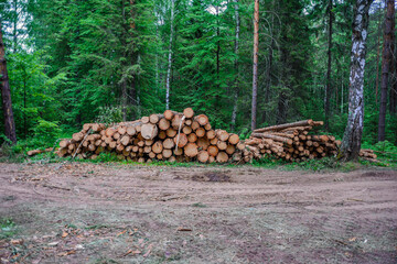 Harvesting wood for heating rural homes