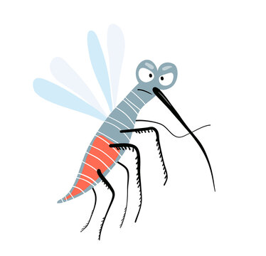 Funny cute angry and silly mosquito. Character design, cute flying insect looking at you angry, for kids. Hilarious hand drawn tropical mosquito. Vector kids cartoon illustration.