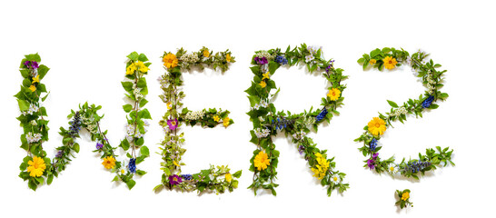 Flower, Branches And Blossom Letter Building German Word Wer Means Who. White Isolated Background