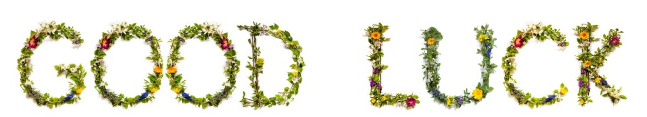 Flower, Branches And Blossom Letter Building English Word Good Luck. White Isolated Background