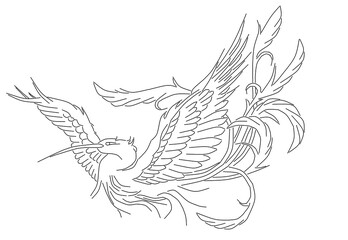 tattoo beautiful heat bird drawing