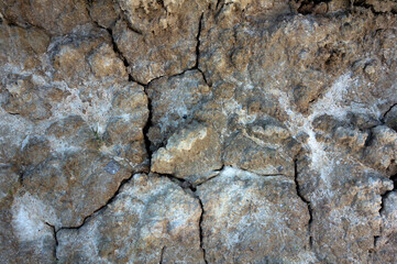 Drought, dry land with cracks