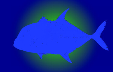 fish map of argentina with flag