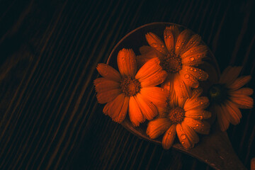 calendula flowers on dark wooden background. Marigold flower with leaf on dark wooden background