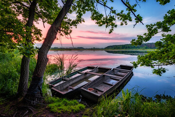 Beautiful summer sunrise at the lake - obrazy, fototapety, plakaty