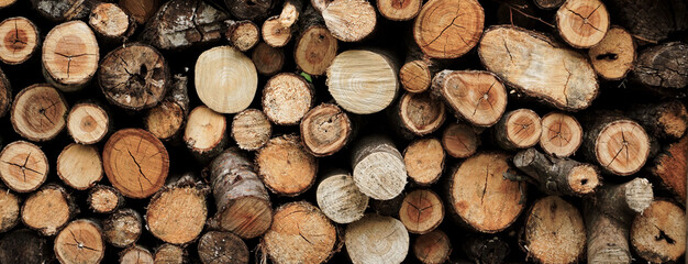 Firewood background material. 薪の背景素材