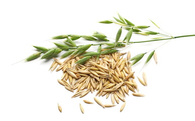Green and yellow oat ears and groats, plant with stem pile isolated on white background