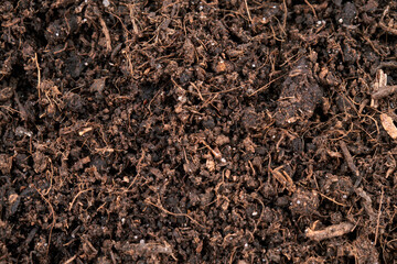 Macro texture of fertile soil as background