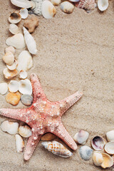 Fototapeta na wymiar Beach and Summer background - Close up of starfish and seashells