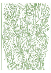 Obraz premium Green Ink Drawing illustration of aster flowers with leaves