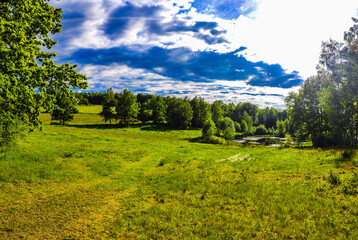 landscape with trees