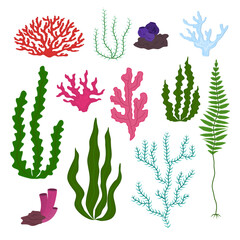 Cartoon Color Underwater Marine Flora Icons Set. Vector