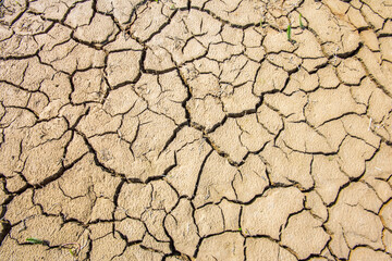 high temperature, heat and dryness