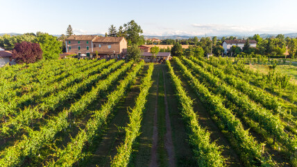 Modena countryside cultivated photo with drone © francescodemarco