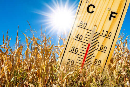 high temperature, heat and dryness