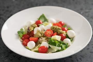 Salad with miced greens , tomatoes and mozzarella in white bowl