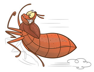 Bedbug running away - obrazy, fototapety, plakaty
