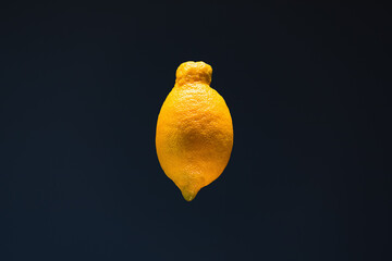 Isolated lemon on the dark background. 