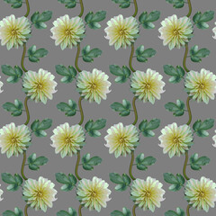 Seamless pattern with white Dahlia flowers and green leaves on grey background. Endless floral texture. Raster illustration.