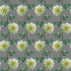 Seamless pattern with white Dahlia flowers and green leaves on grey background. Endless floral texture. Raster illustration.