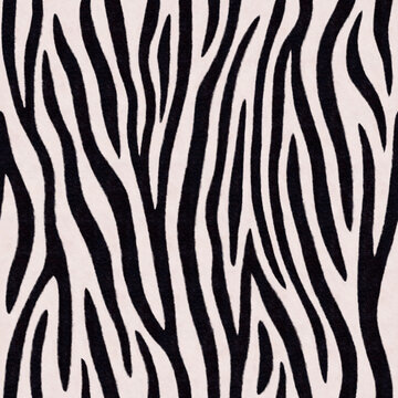 Zebra stripes seamless pattern. Endless black and white background. Raster illustration.