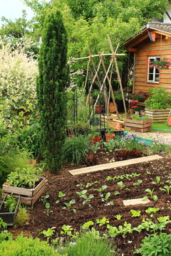 Gem&uuml;segarten