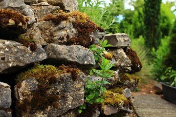 Steinmauer im Garten