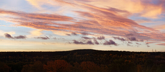 Dawn sky over the forest and birds flying over the trees